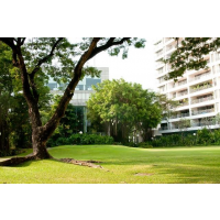 The Natural Park Low-rise Apartment middle of Sukhumvit 49 about 250 sq m. with 3 bedroom, 3 bathroom