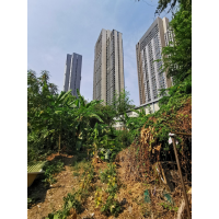 Vacant land Sale in Sukhumvit 101 SOi Punna Withi 12 size 301 sq w @ 120,000 Baht/ sq wah